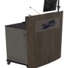D-Series double bay lectern with optional perspex logo and monitor pole.