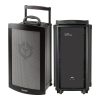 VICTORY V-SP Companion Passive Speaker
