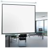 Wall mounted motorized projection screens
