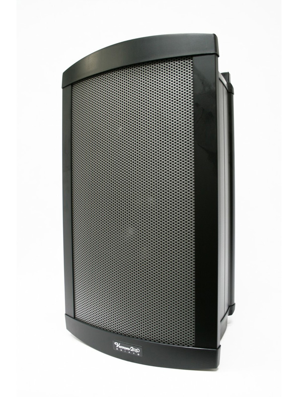 SPEAKER OUT (Φ6.3mm jack) for an external 8Ω passive speaker.